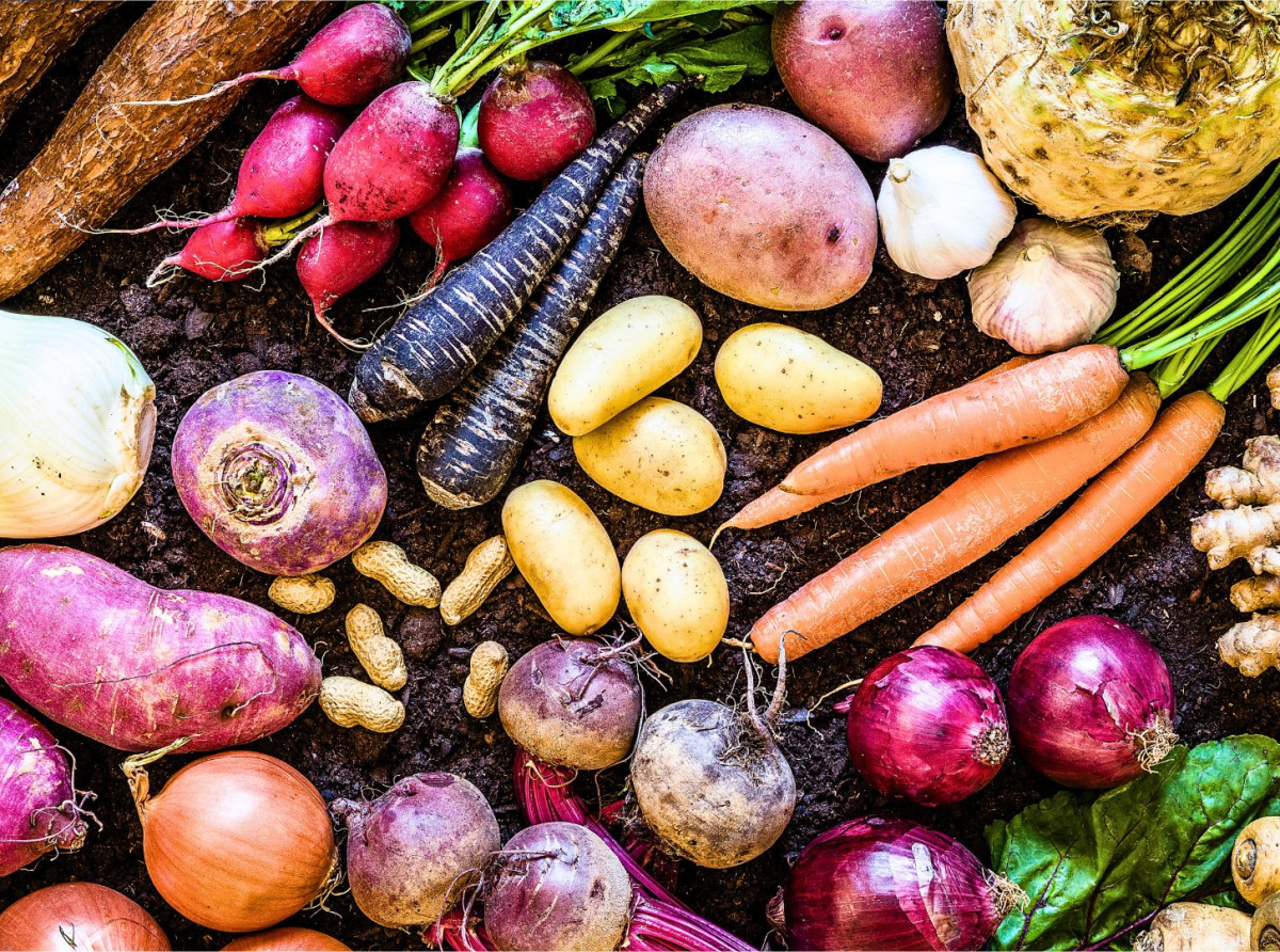 Un grupo de defensa del consumidor encuentra niveles peligrosos de plomo en algunos bocadillos para niños pequeños