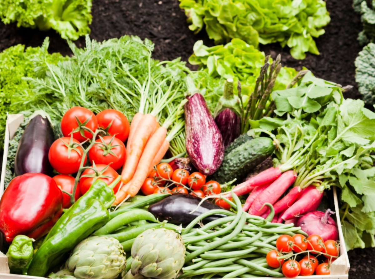 Foro Nacional de Bioinsumos impulsa la sostenibilidad en la industria alimentaria de Costa Rica