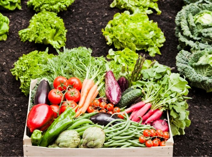 ¿Cómo gestionar residuos fitosanitarios en alimentos?