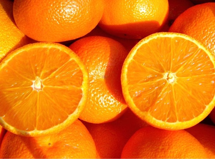 Duas Rodas&quot; innovación centenaria que transforma la industria de alimentos y bebidas en Brasil