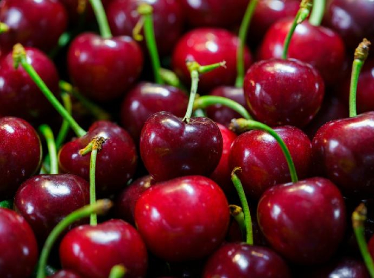 Sistema pionero evita la adulteración en envíos de cerezas chilenas a China