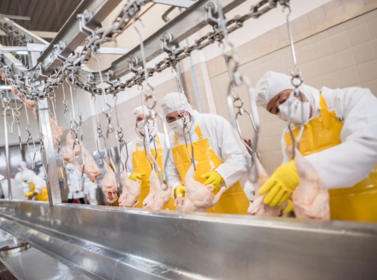 Honduras fortalece su sistema de inocuidad alimentaria con apoyo técnico de PANAFTOSA-OPS